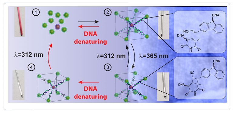 ACS Nano 2019 Gold Nanoparticle Superlattices